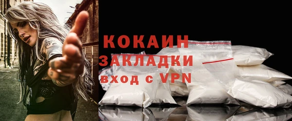 ГАЛЛЮЦИНОГЕННЫЕ ГРИБЫ Верея