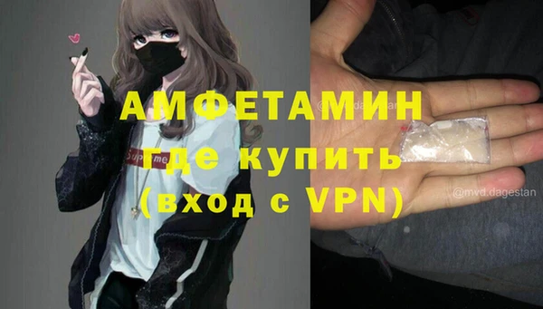 ГАЛЛЮЦИНОГЕННЫЕ ГРИБЫ Верея