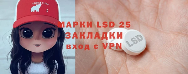 ГАЛЛЮЦИНОГЕННЫЕ ГРИБЫ Верея