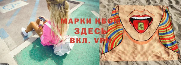 ГАЛЛЮЦИНОГЕННЫЕ ГРИБЫ Верея