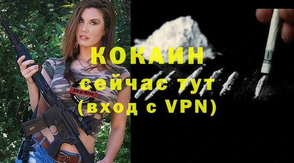 ГАЛЛЮЦИНОГЕННЫЕ ГРИБЫ Верея