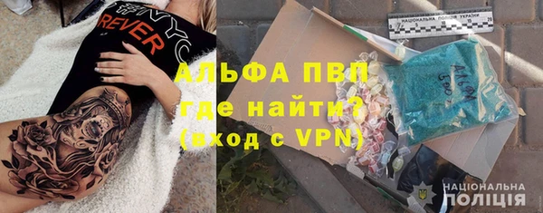 ГАЛЛЮЦИНОГЕННЫЕ ГРИБЫ Верея