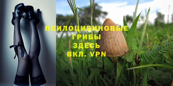 прущая мука Верхний Тагил