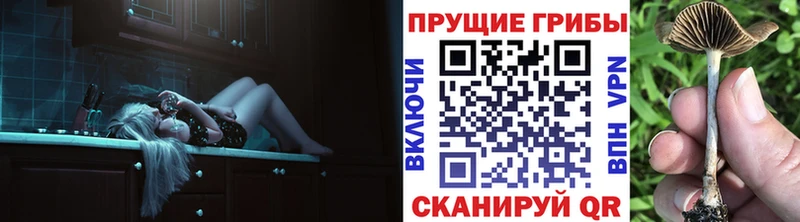 ссылка на мегу онион  Мытищи  Псилоцибиновые грибы GOLDEN TEACHER 